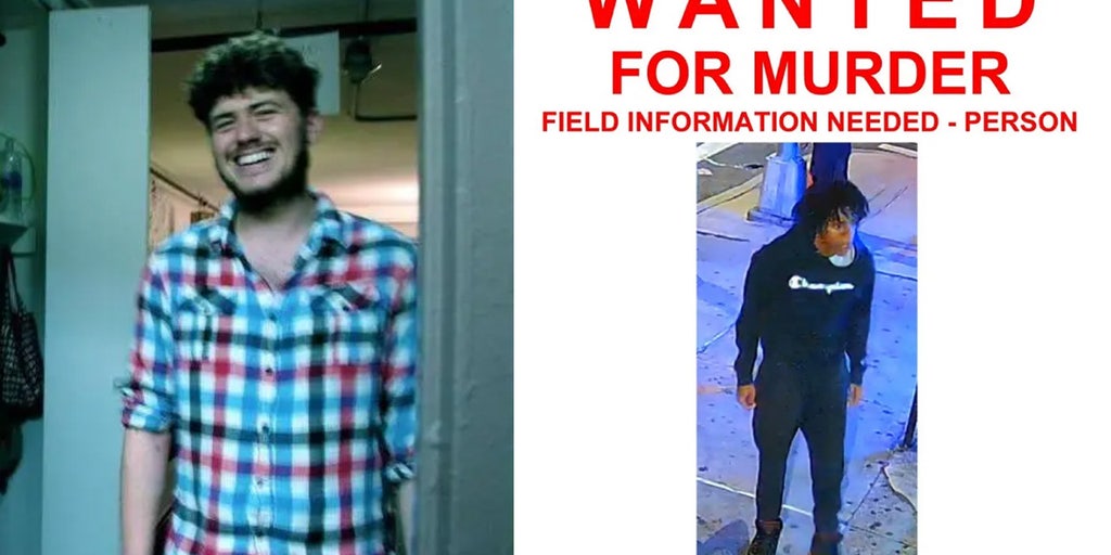 Suspect in deadly stabbing of poet caught on camera in police custody - Vimarsana News