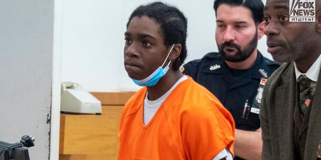Teen indicted for stabbing poet to death in random NYC attack - Vimarsana News