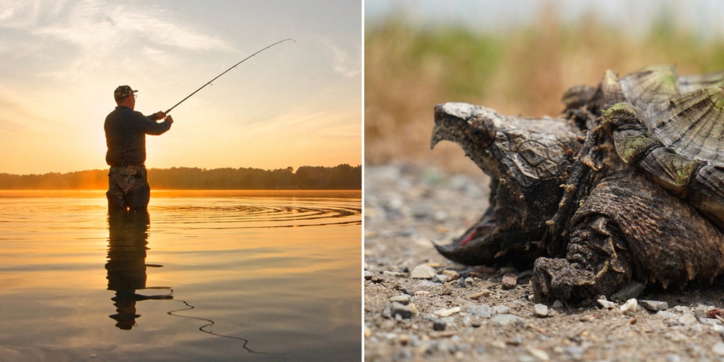 Texas officials offer $2K to report poaching of threatened prehistoric-like reptile