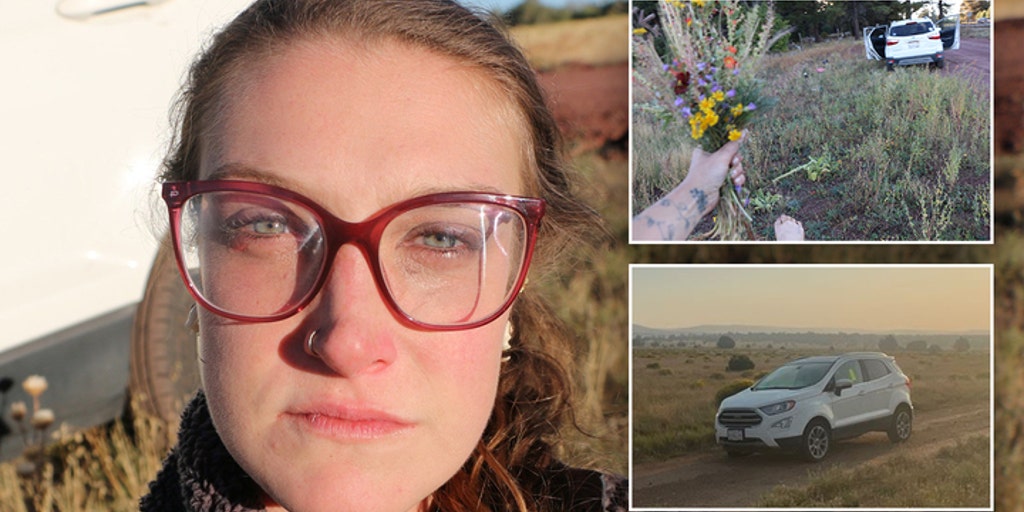 Missing San Diego woman's last contacts included chat with police officer, woodcutter before disappearance - Vimarsana News