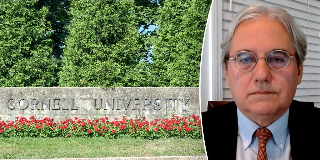 Professor calls on Cornell to make campus safer for Jewish students: 'Faculty is extremely anti-Israel'