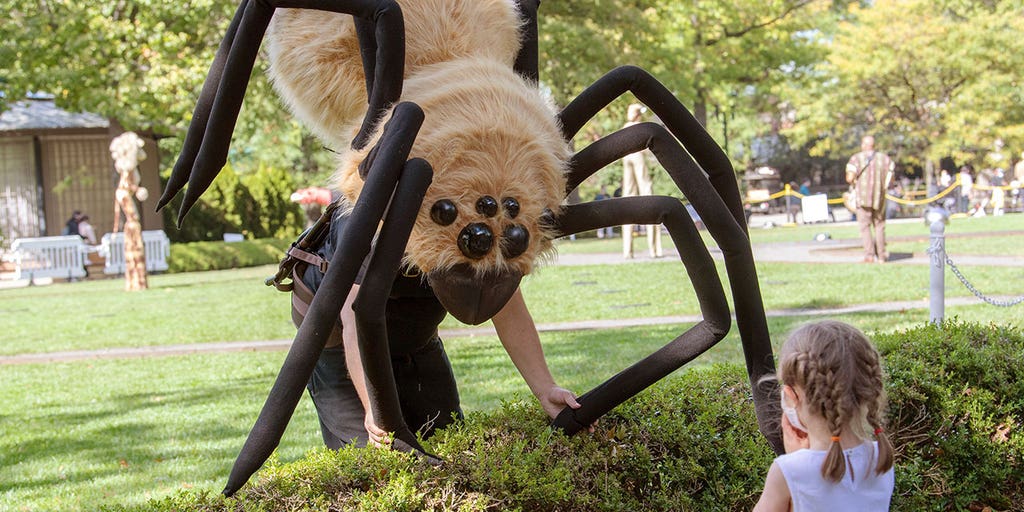 Botanical gardens, zoos ramp up Halloween preparations as outdoor celebrations become more popular among kids - Vimarsana News