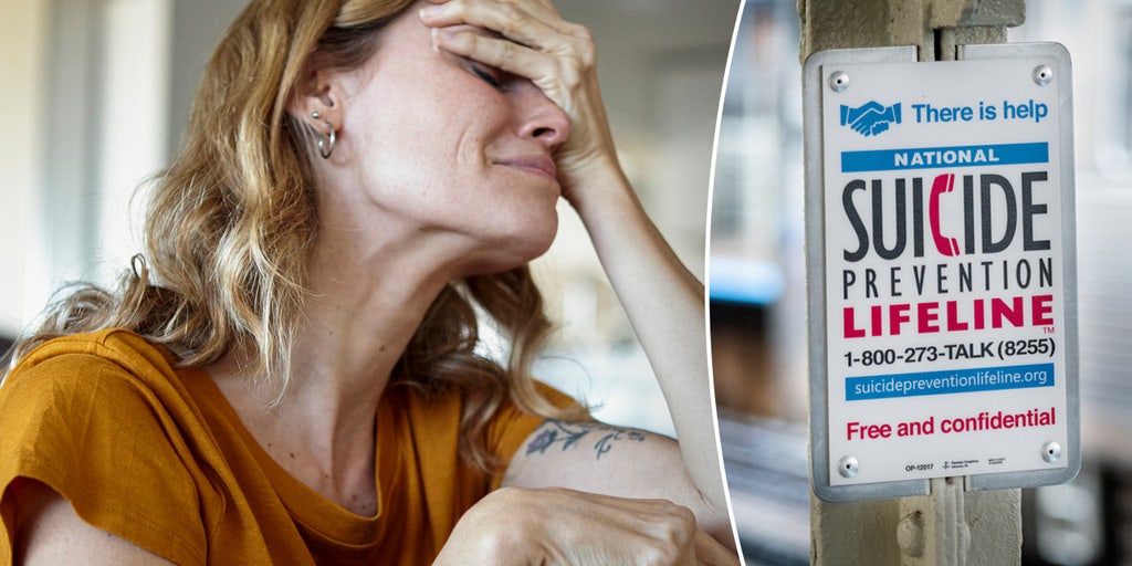 Suicide warning signs are missed by most Americans, new survey finds: It's 'alarming' - Vimarsana News