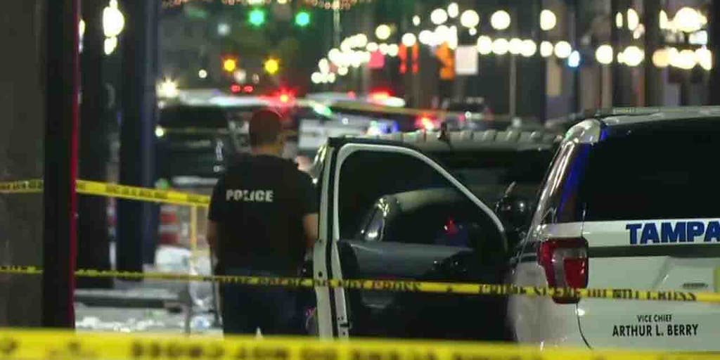 Florida teen charged with murder in Tampa Halloween shooting that killed 2, injured 16 - Vimarsana News