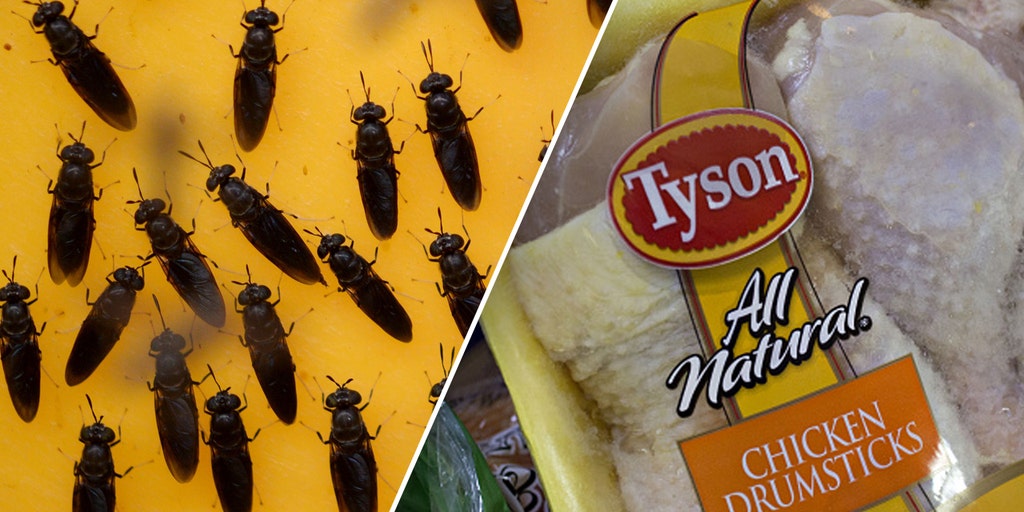 Tyson Foods investing big in bug protein for new venture - Vimarsana News