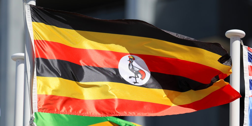 Prominent Ugandan gay rights activist critical after stabbing - Vimarsana News
