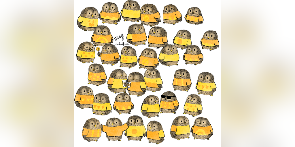 Brain teaser: Can you find the owl without his sweater matching buddy? - Vimarsana News