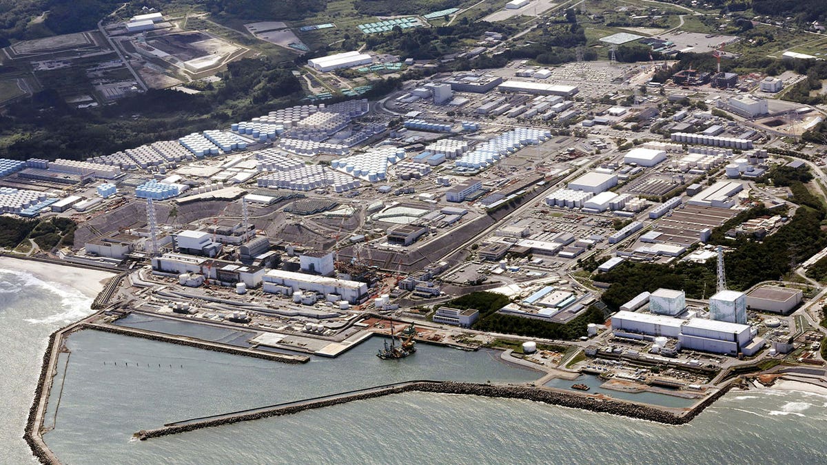 The Fukushima Daiichi nuclear power plant 