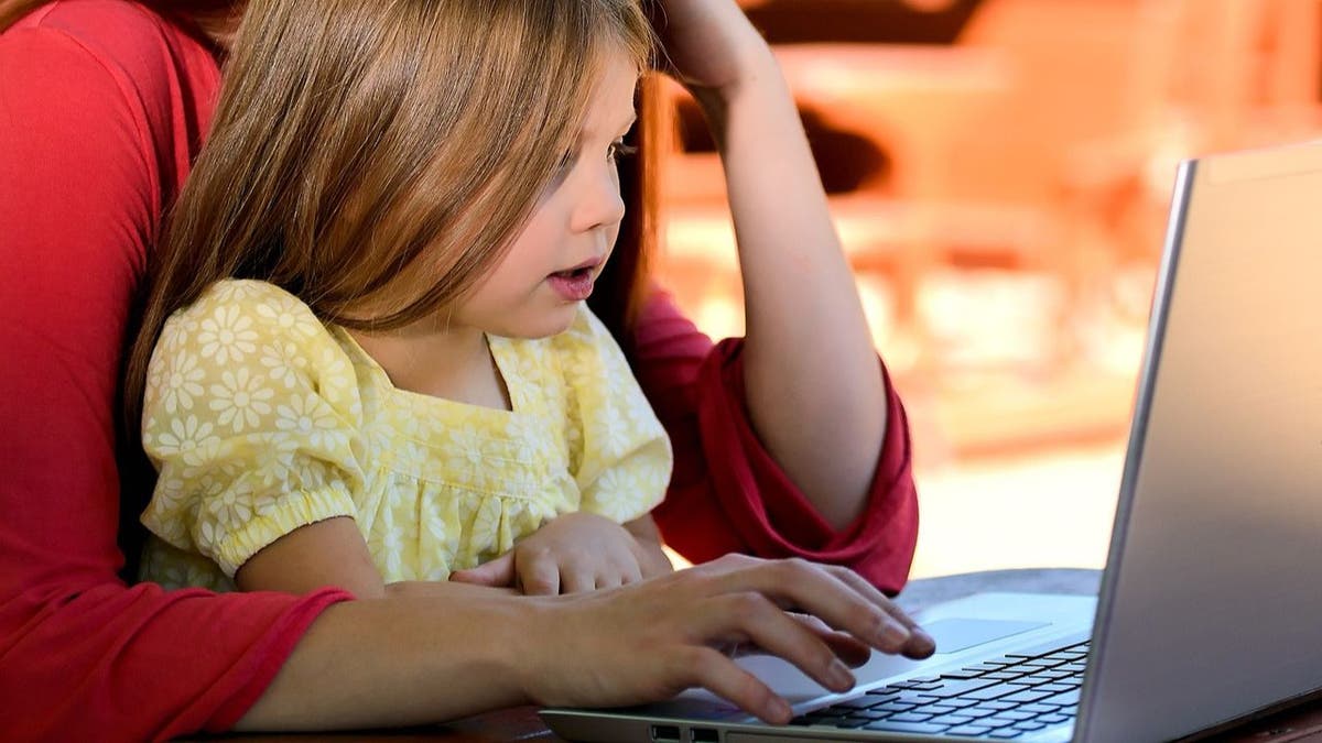 child held by a woman looks at laptop