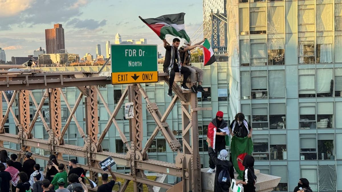 Pro Palestinian protesters scale part of Brooklyn Bridge force