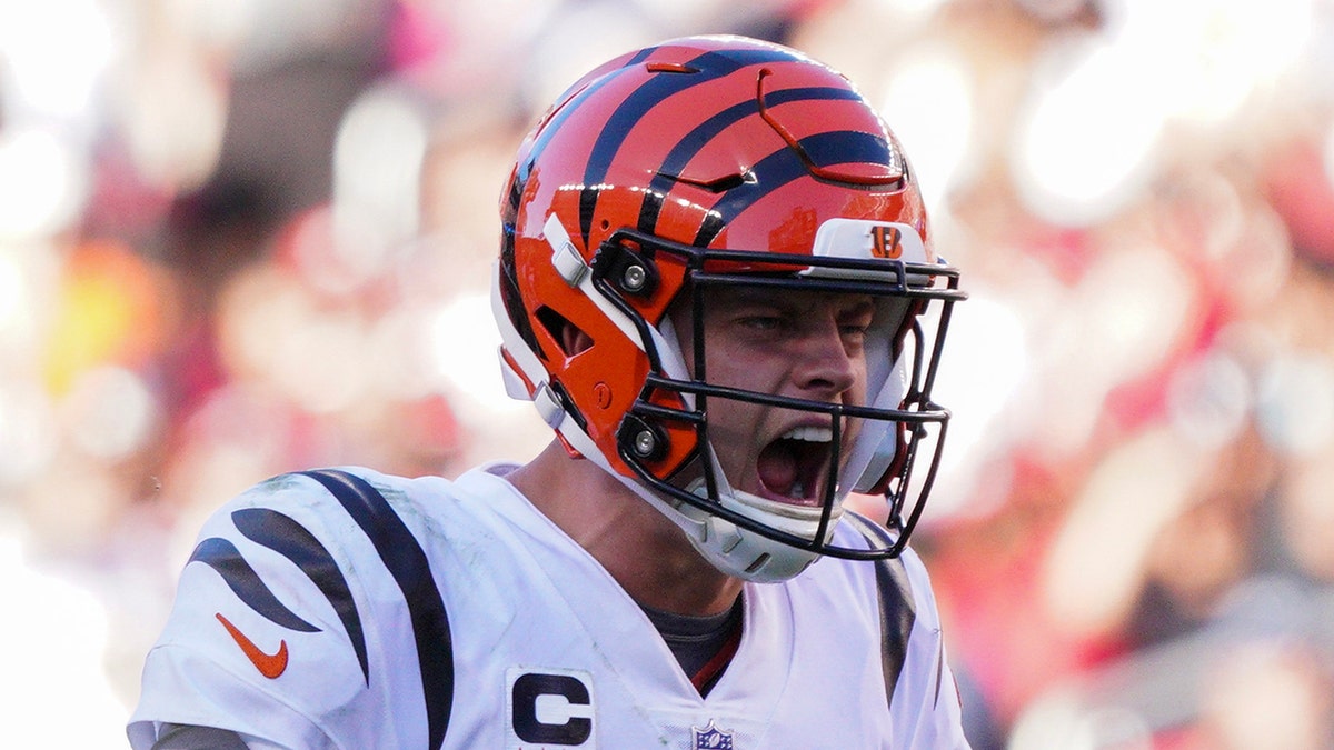 Bengals Hand 49ers Third Straight Loss As They Push Own Winning Streak ...