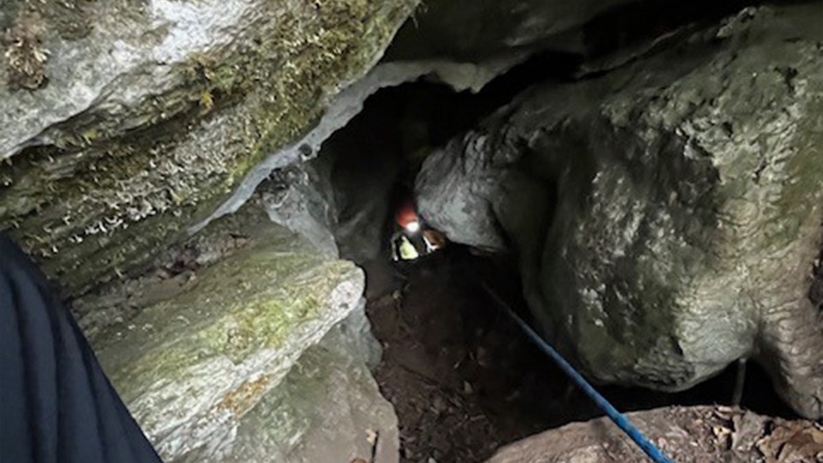 WATCH: Dramatic Rescue Of Trapped Tennessee Dog Named Charlie Just ‘5 ...