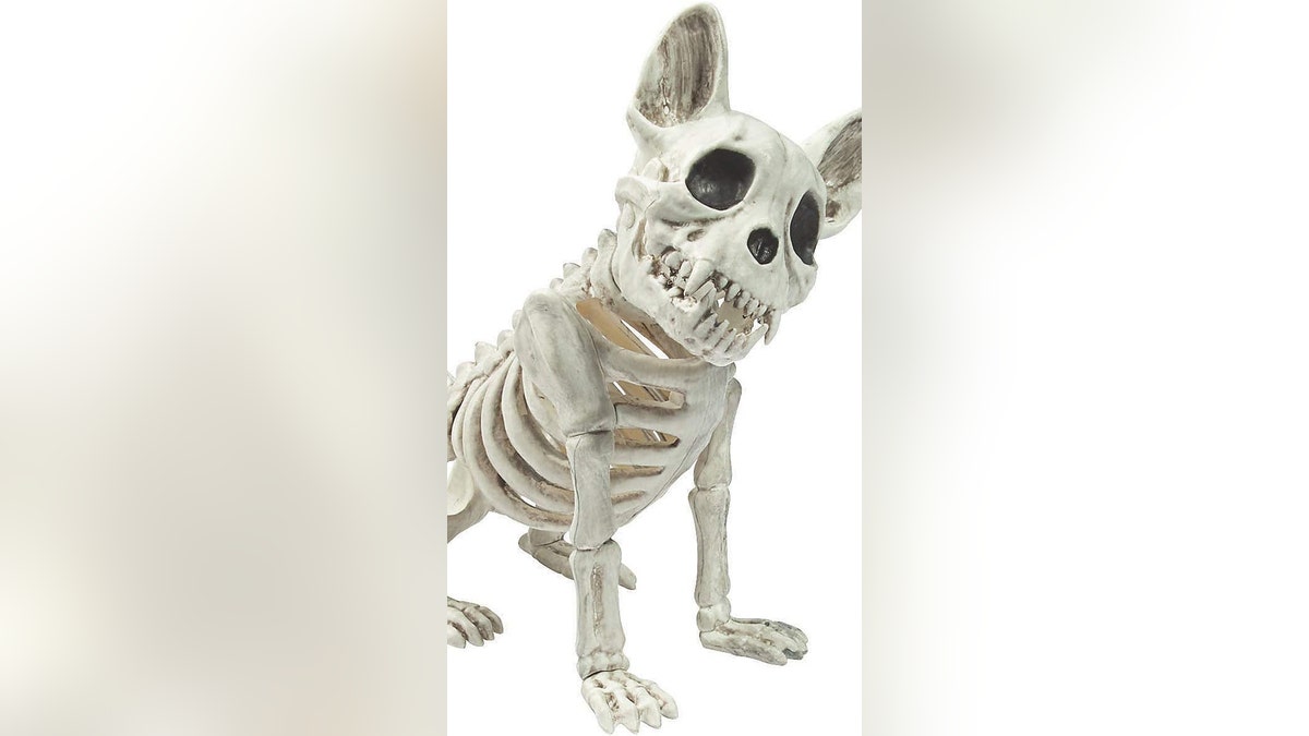 skeleton dog