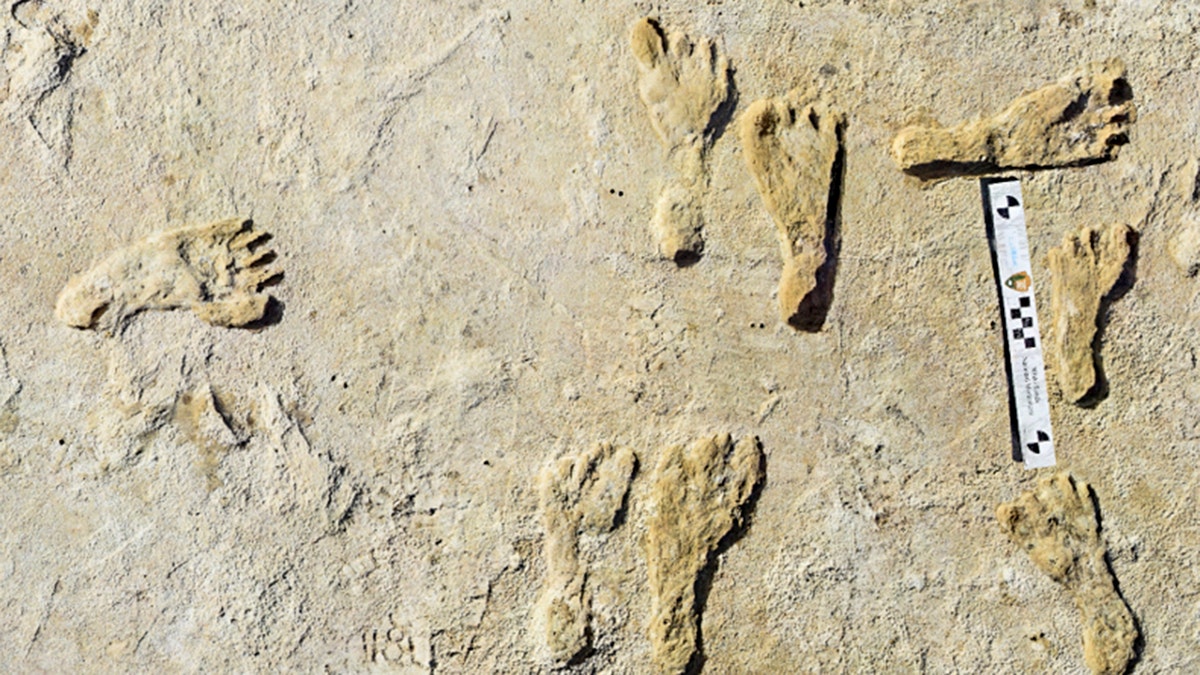 Footprints, a ruler