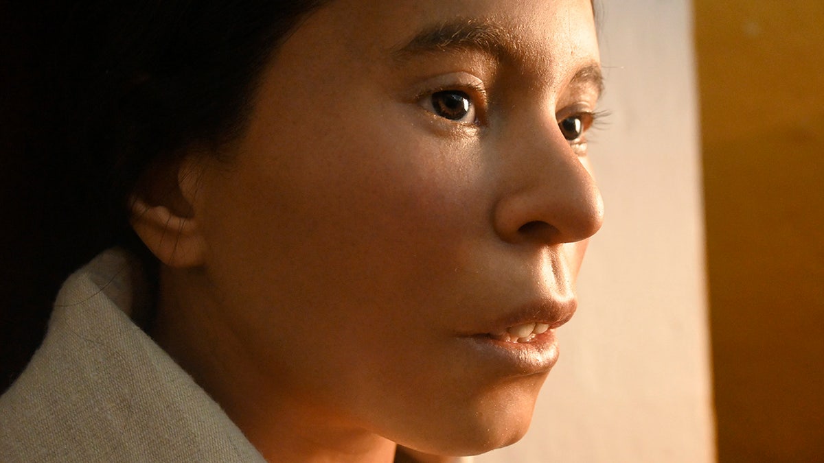 Peru’s most well-known mummy will get face reconstructed, revealing what Incan lady sacrificed in Andes regarded like 1 Facial reconstruction of sacrificed Incan girl