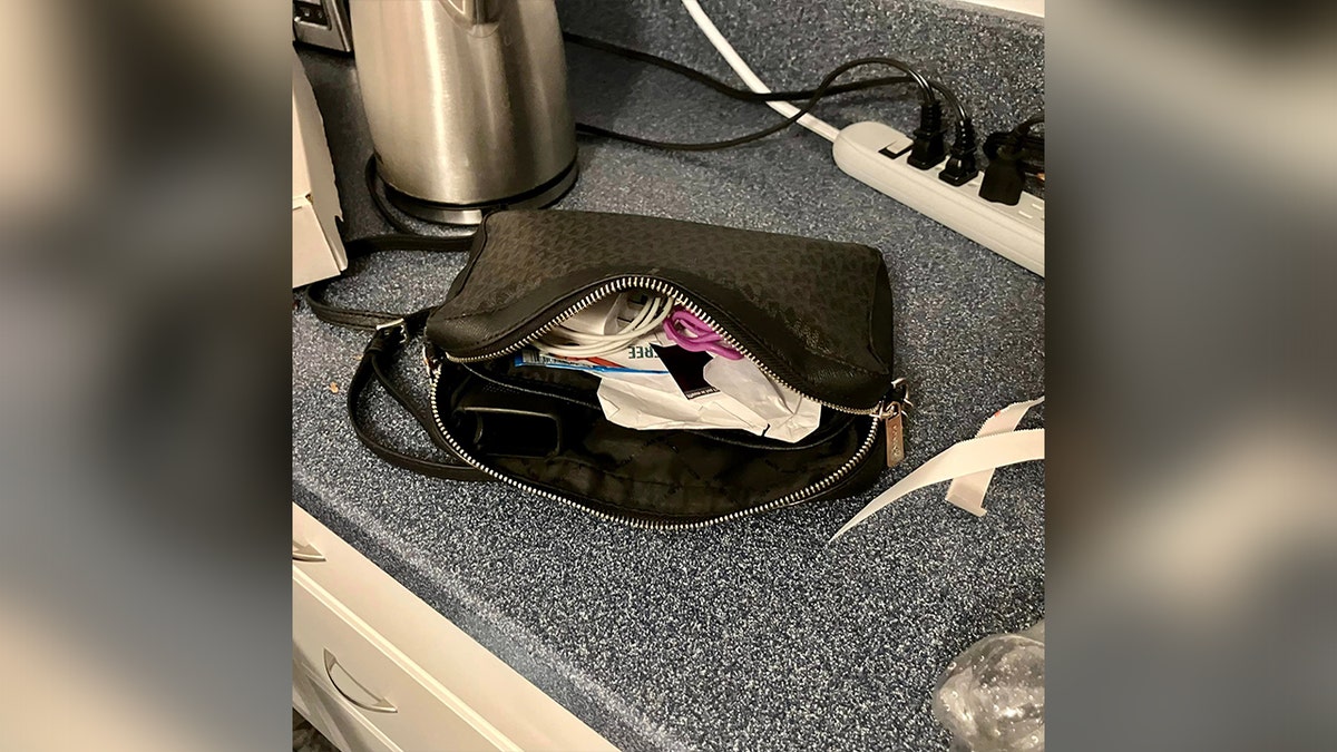 Gun hidden in purse