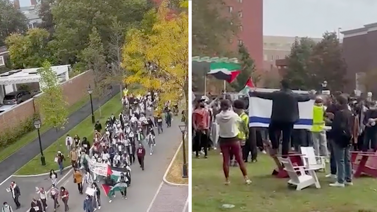 Protestors gather at Harvard University to slam Israels 
