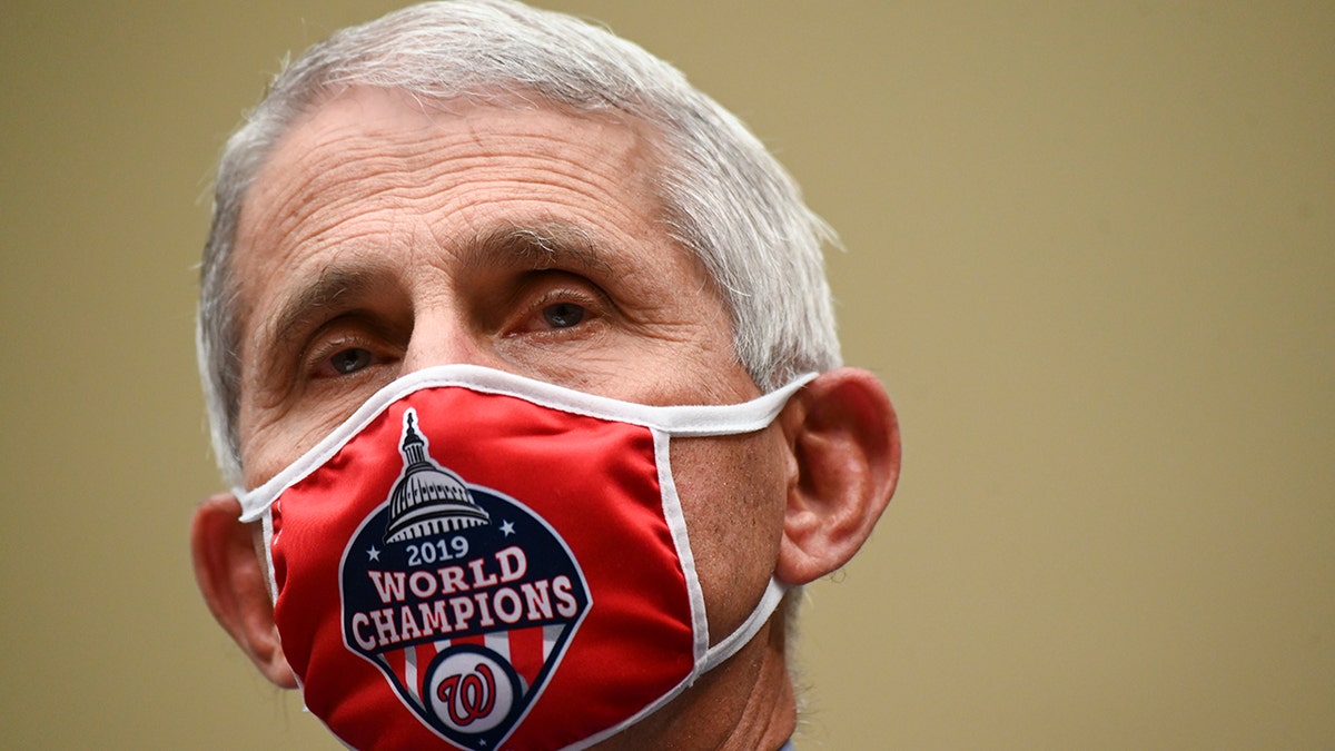 Anthony Fauci wears Nationals mask