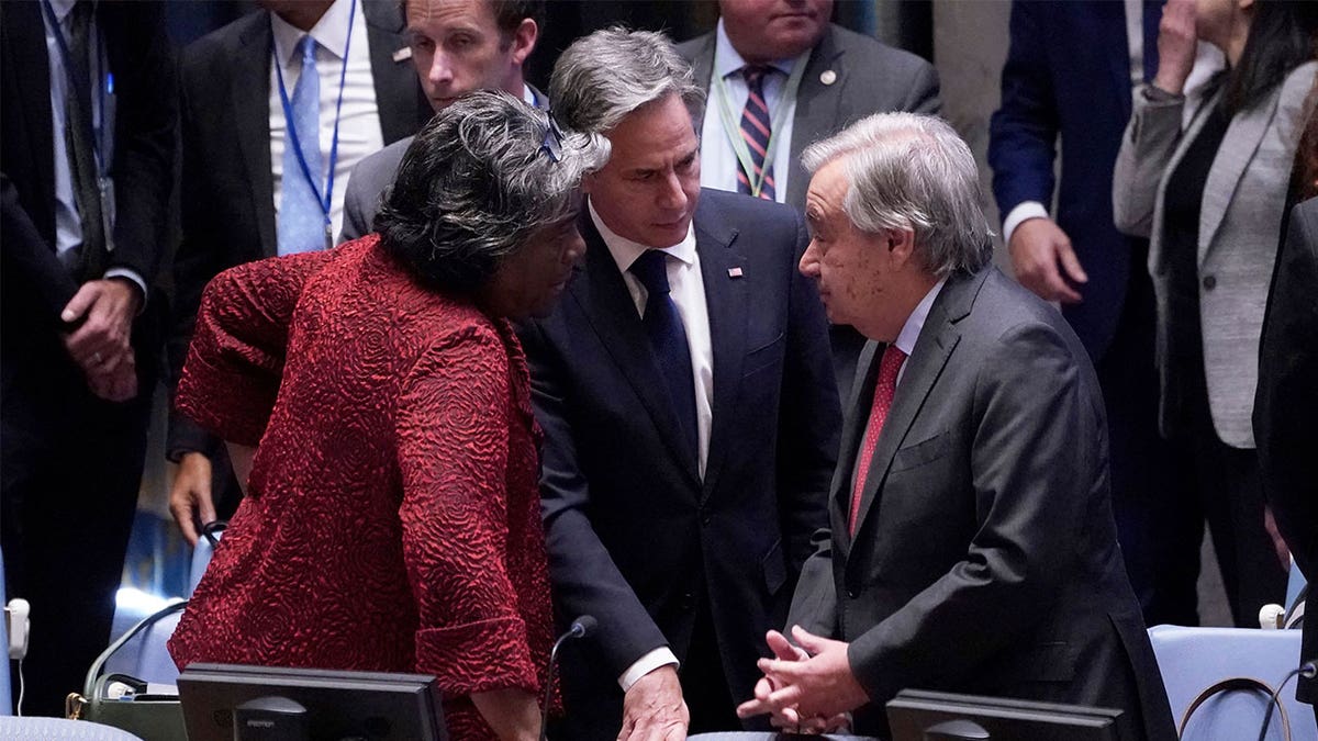 Antony Blinken at UN Security Council meeting