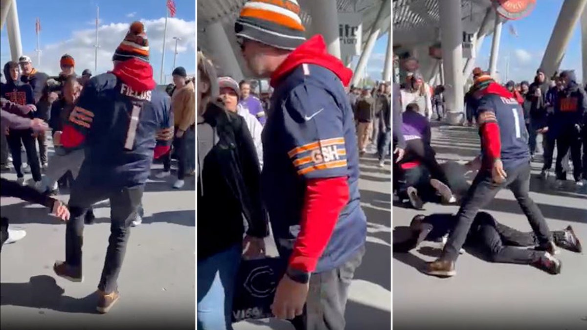 Bears fan fights
