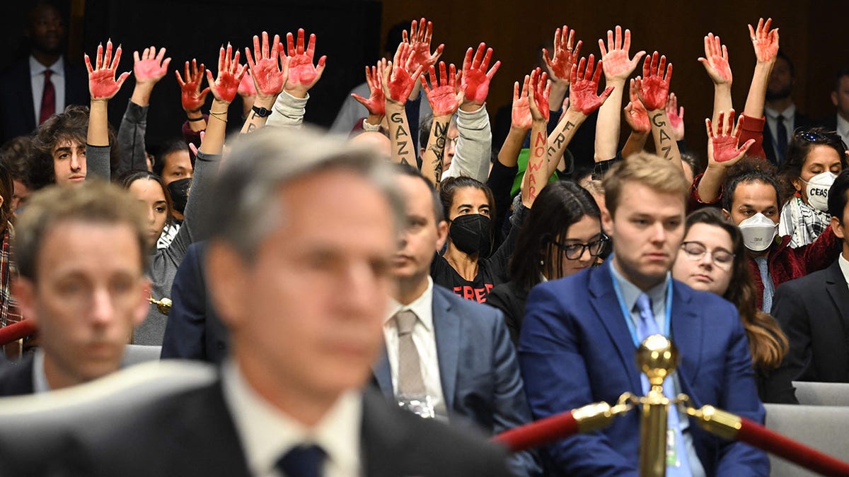 Protesters interrupt Senate hearing with Secretary of State Blinken