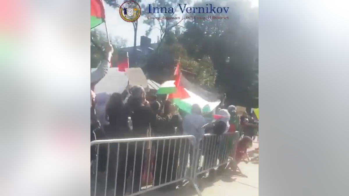 Pro-Palestinian rally in Brooklyn