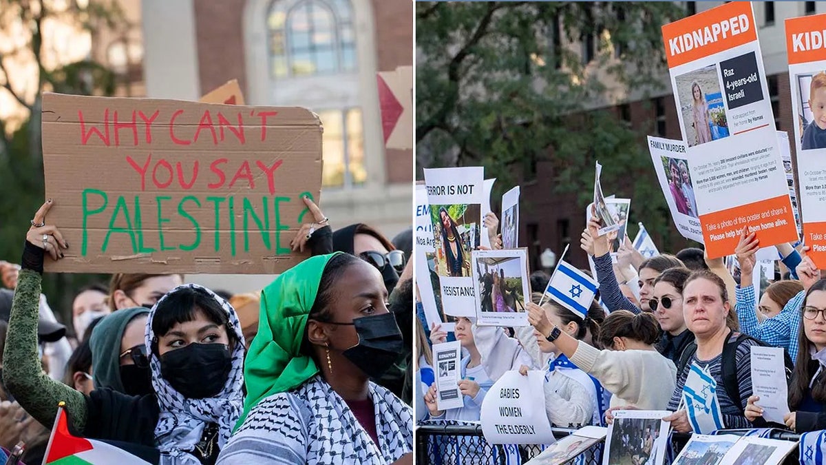 Pro-Palestinian and Pro-Israel protesters