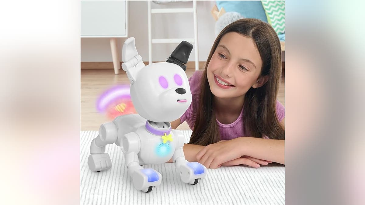 Dog-E Robot