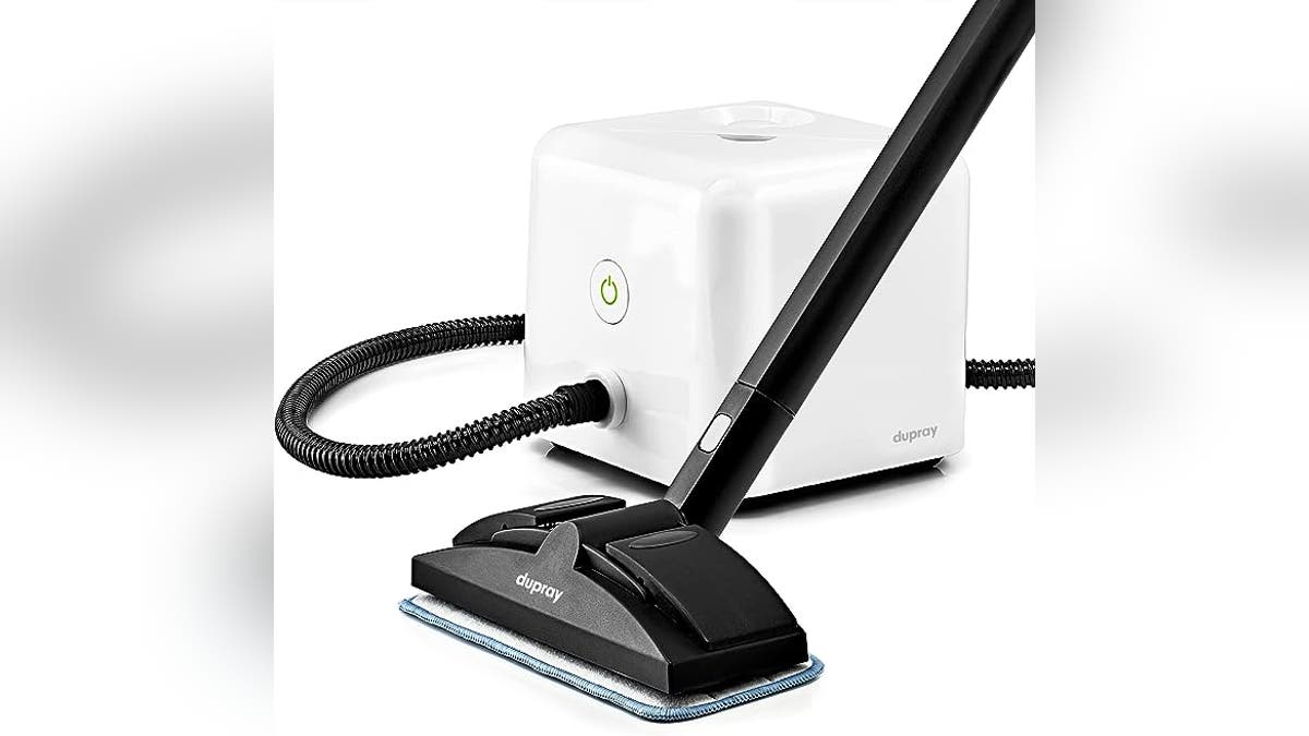 Dupray Neat Steam Cleaner