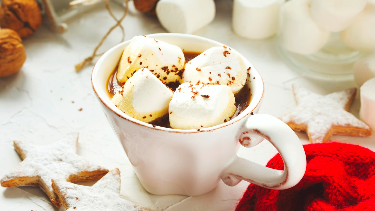 mug filled with hot chocolate and marshmallows