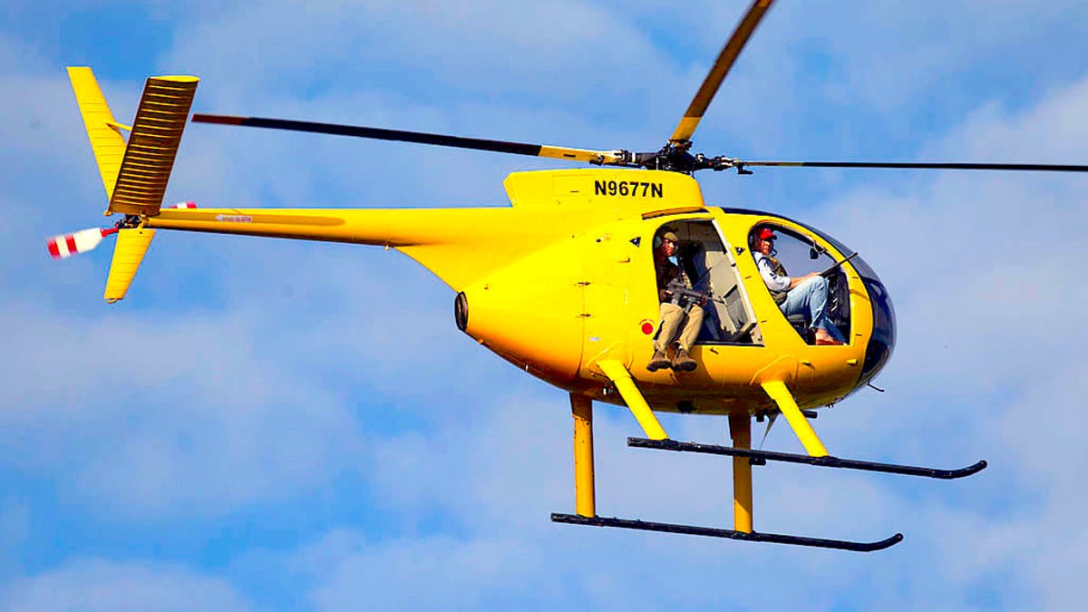 Helicopter pig hunt