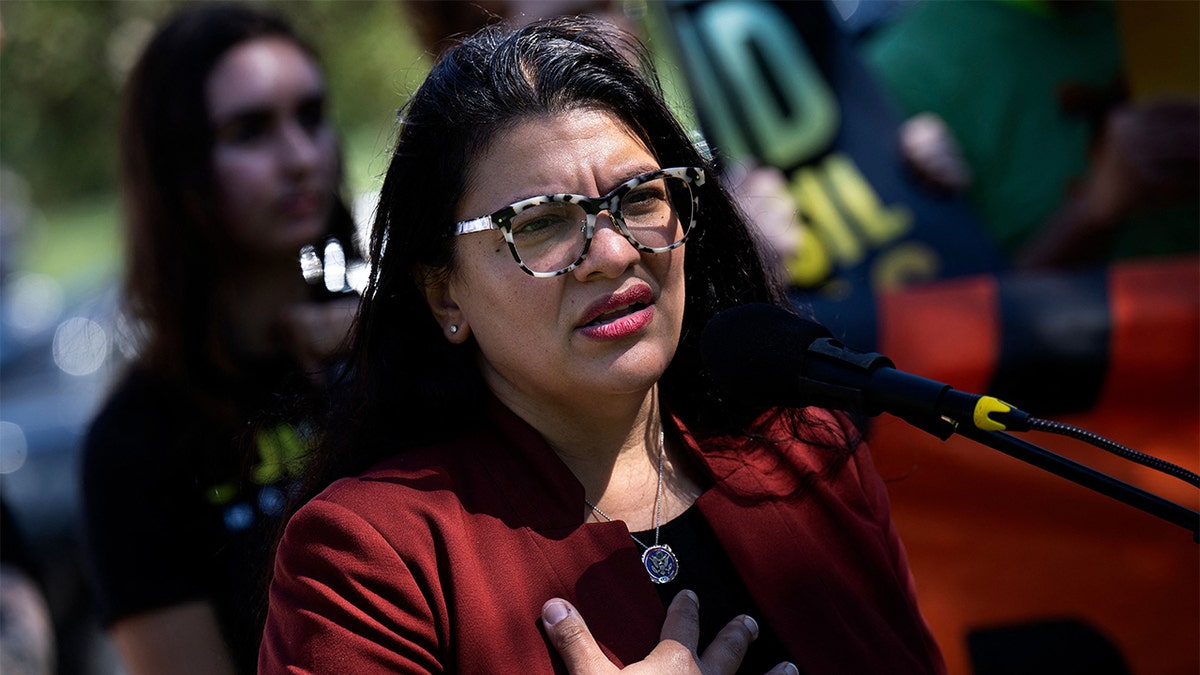 Democrat Michigan Rep. Rashida Tlaib