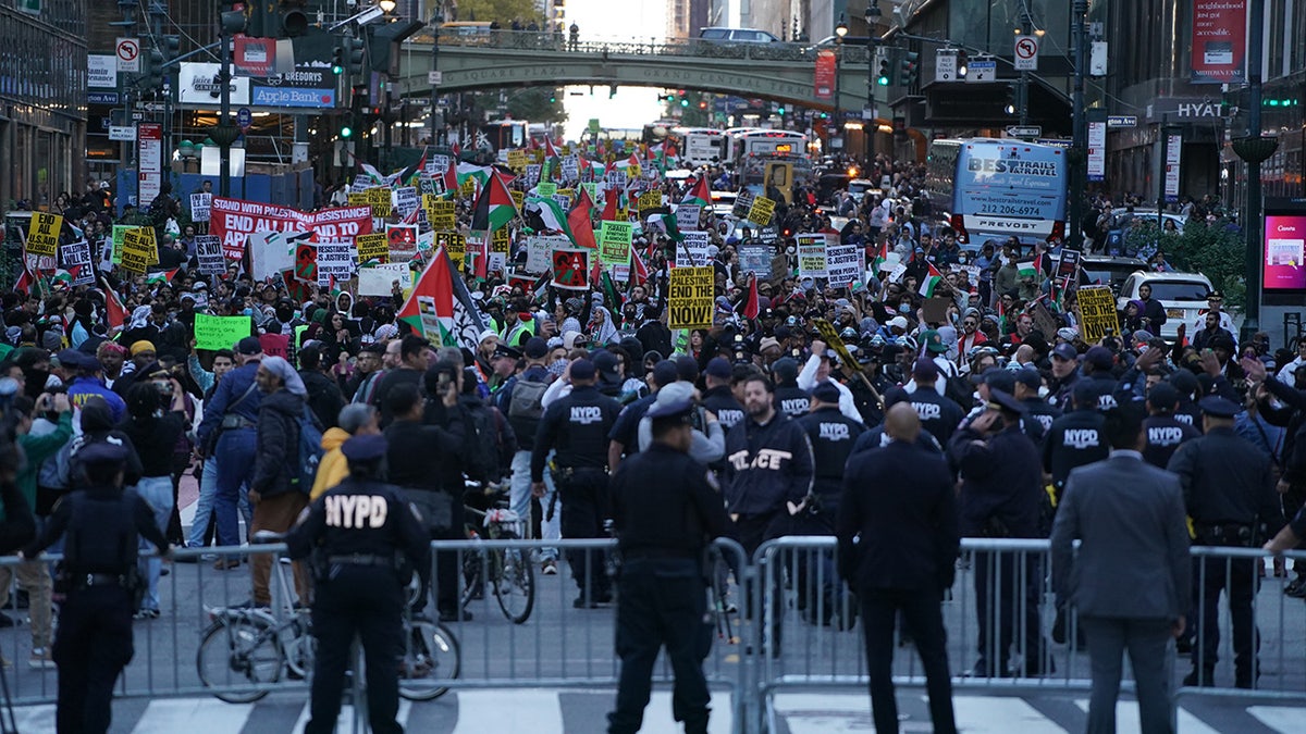 NYPD respond to pro-Palestine protests