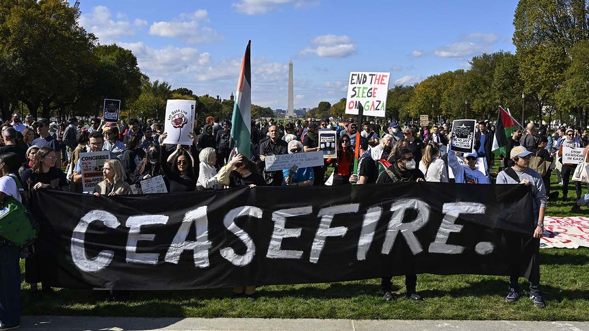 photo of D.C. protest over Gaza