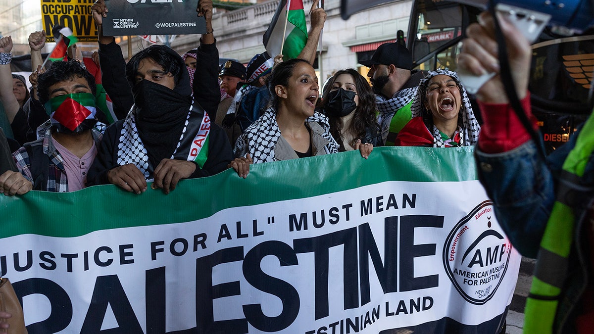 Pro-Palestine demonstrators in NYC