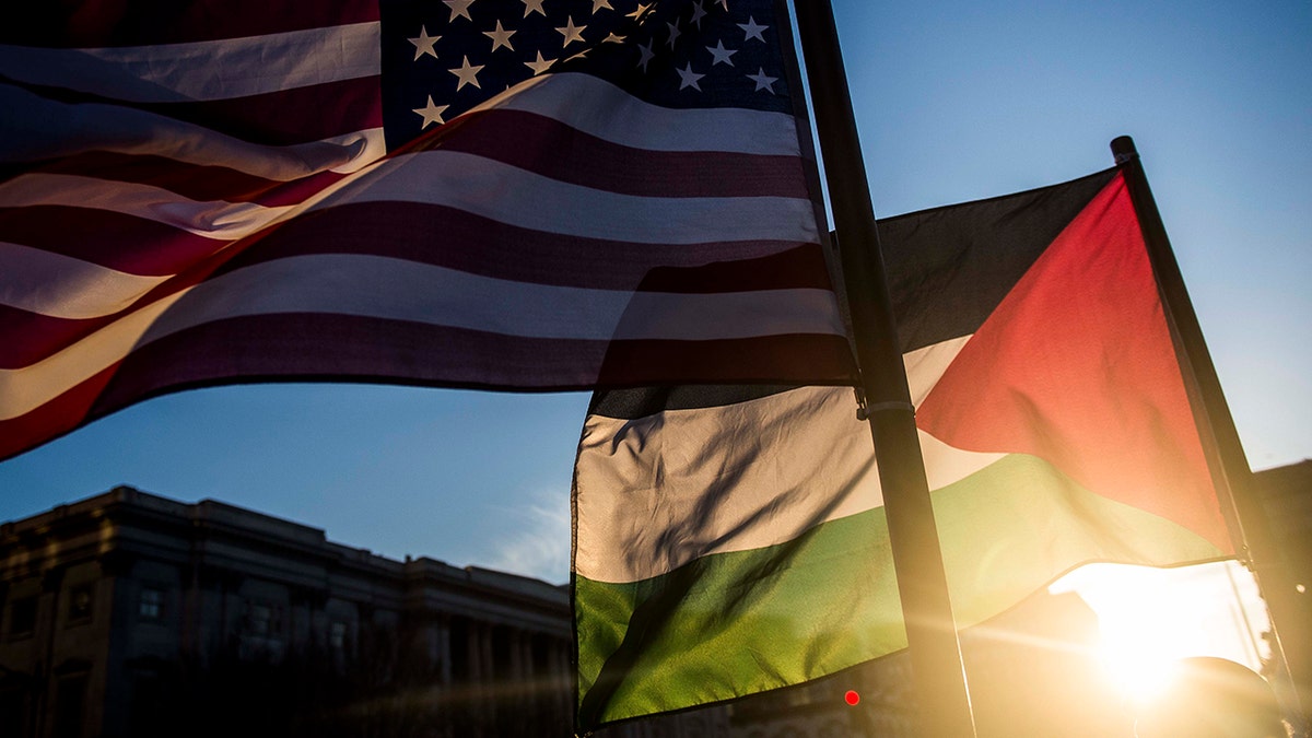 Americans flag, Palestinian flag