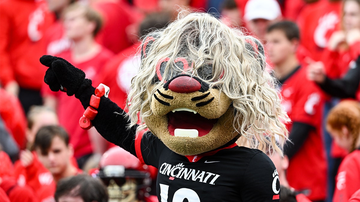 The Cincinnati mascot dresses as Taylor Swift
