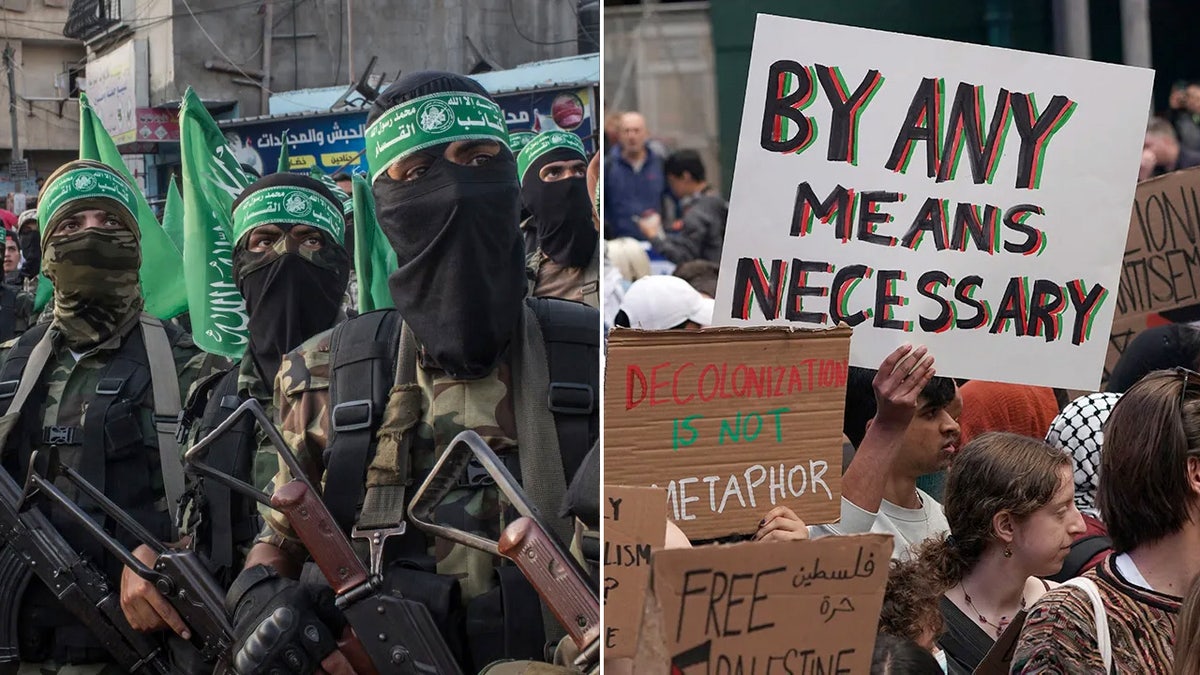 Hamas and pro-Palestinian protesters