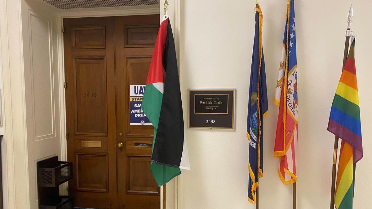 Rashida Tlaib's Palestinian flag