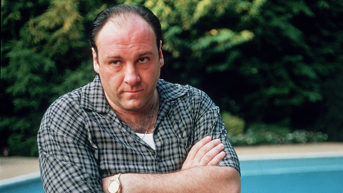 James Gandolfini in The Sopranos