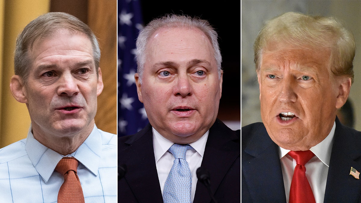 Jordan, Scalise and Trump split