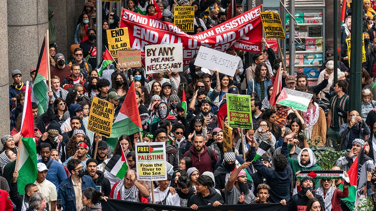 Pro-Palestinian rally in New York