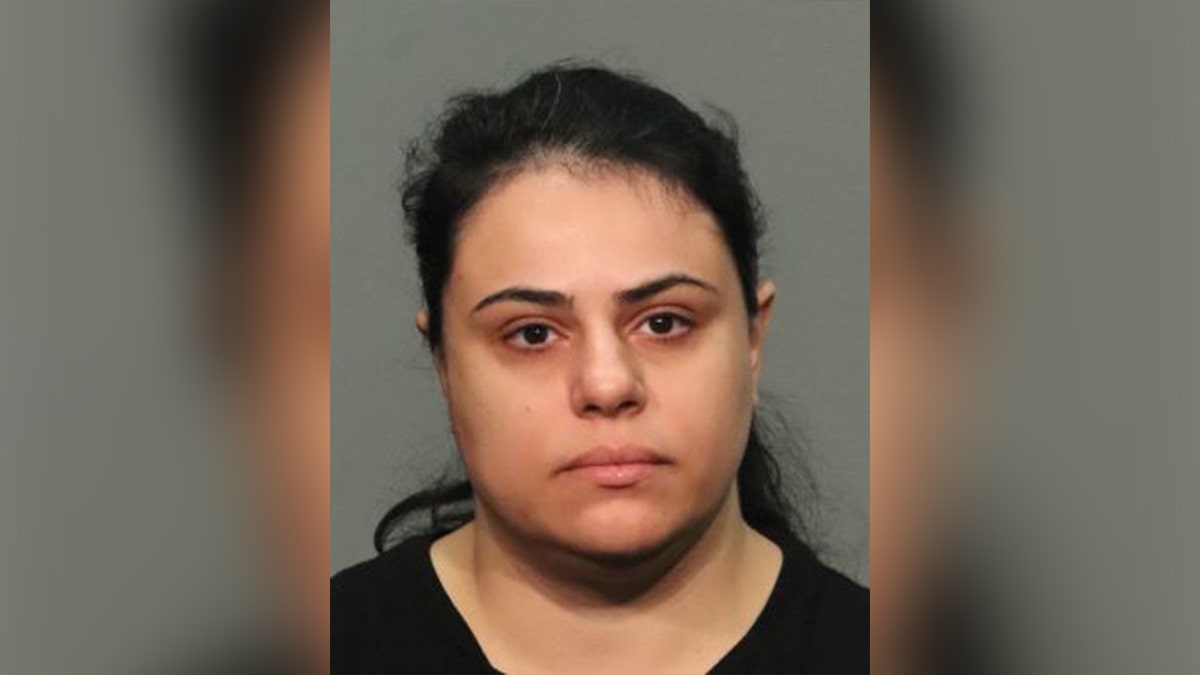 Nina Fathizadeh mugshot SJPD