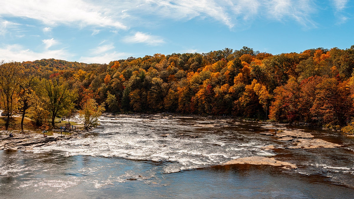 river surrounded by fall foliage