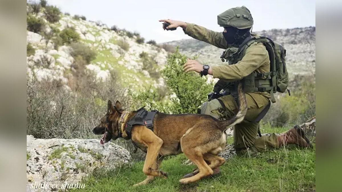 Israel's K-9 unit