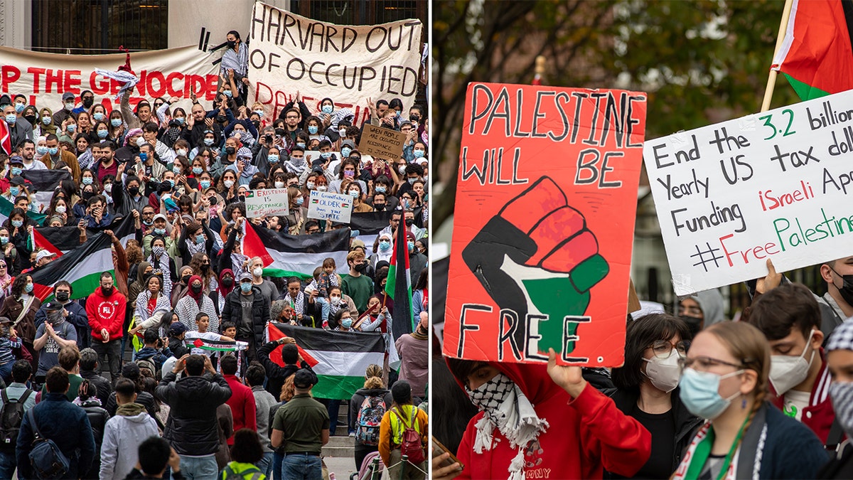 Protestos pró-palestinos