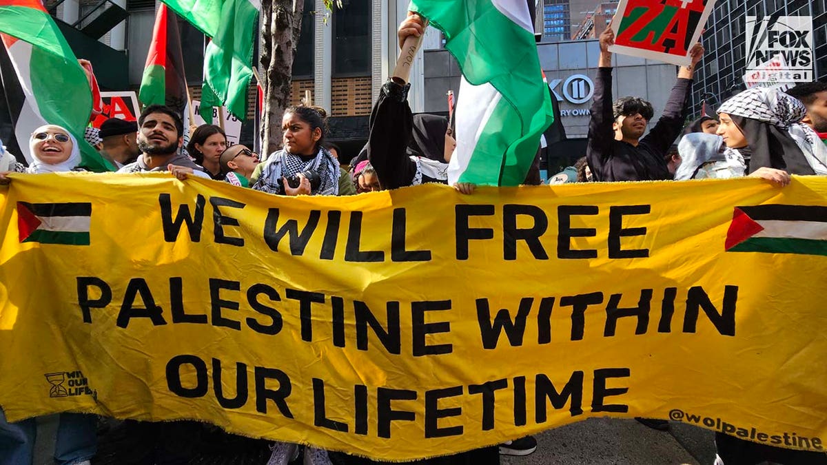 Demonstrators attend pro-Palestinian rally