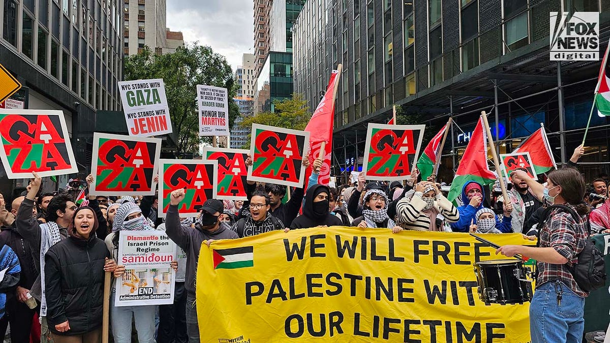 Demonstrators attend a pro-Palestinian protest