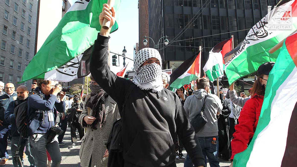 Demonstrators attend an pro-Palestinian rally