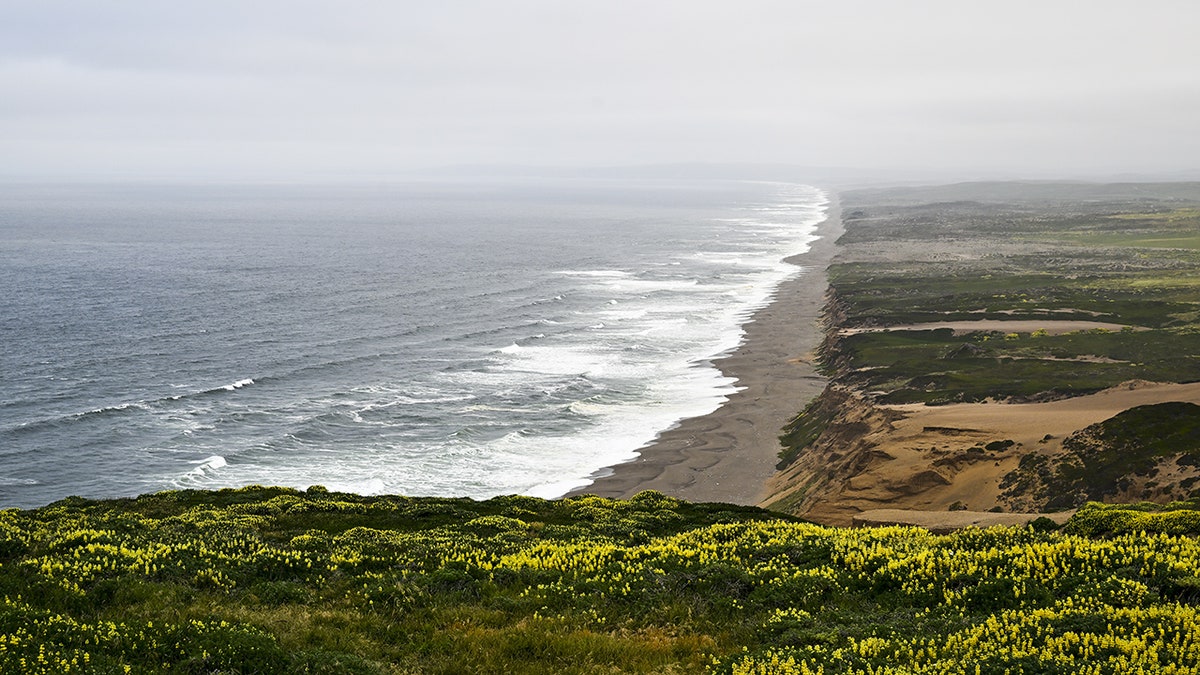 Point Reyes National Seashore aerial view